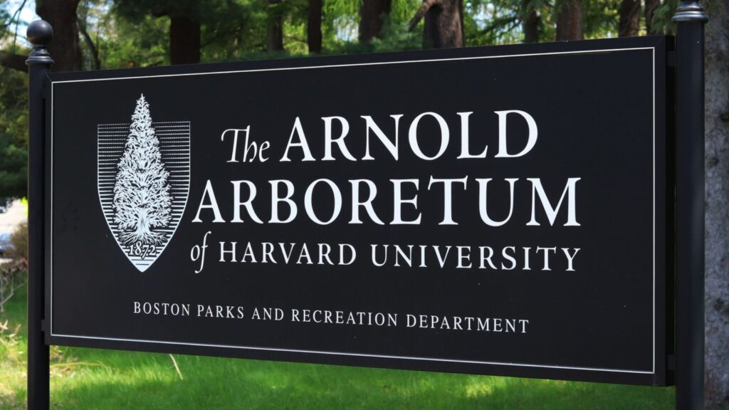 Harvard Arboretum 2026: A Living Museum of Nature, Science, and Education 2 Harvard Arboretum 2026: A Living Museum of Nature, Science, and Education